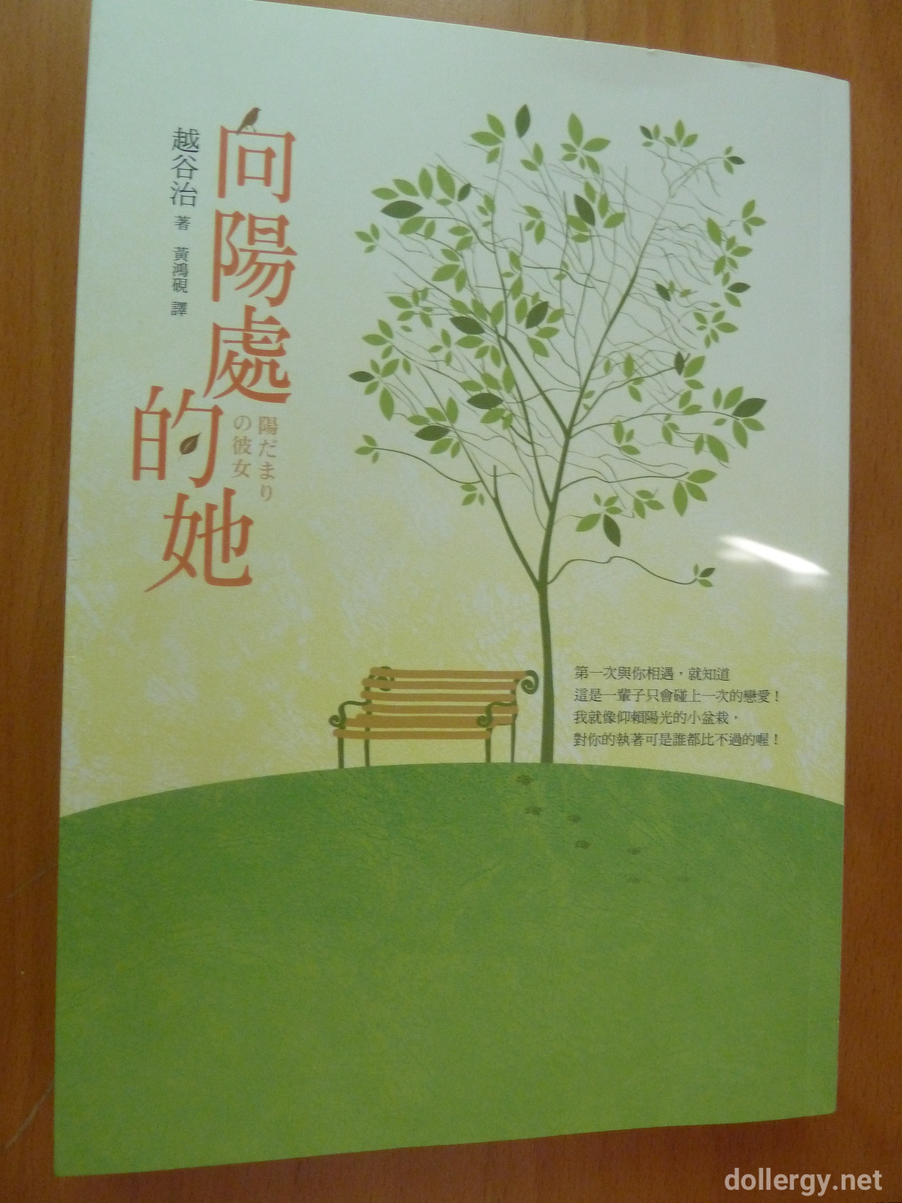 向陽處的她 Book Cover