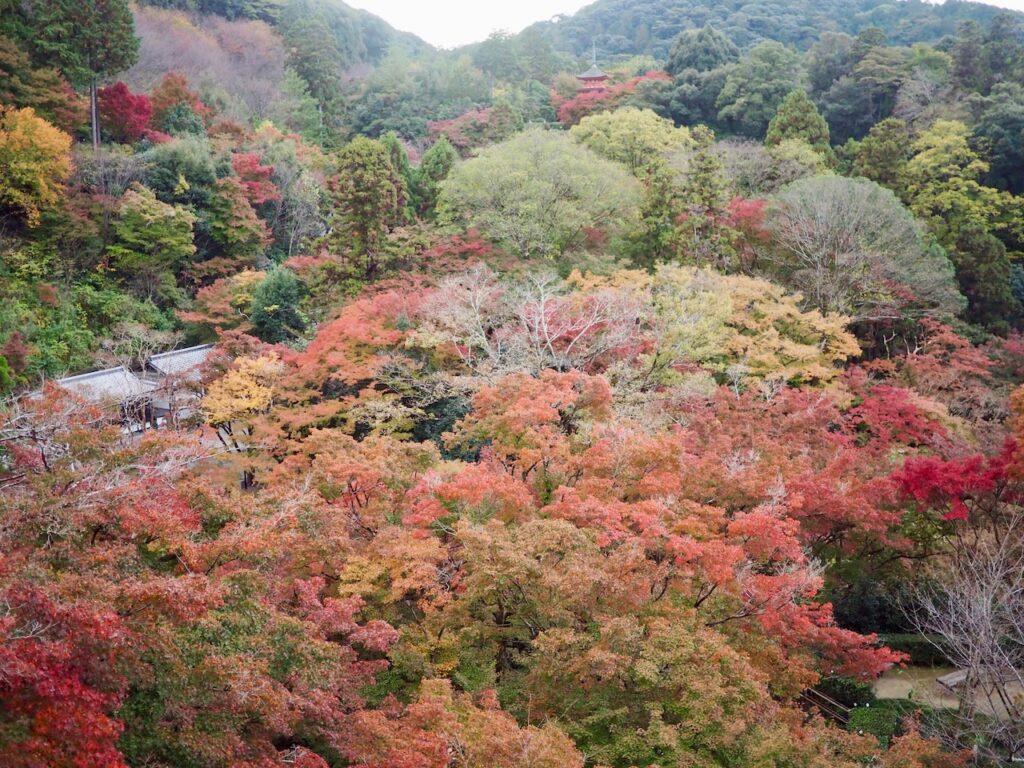清水寺